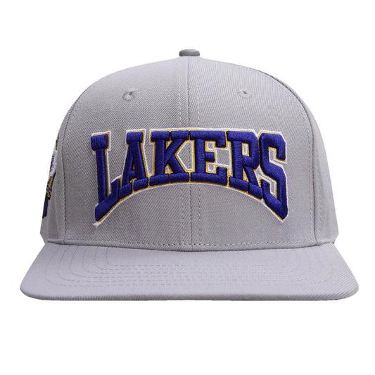 Pro Standard - Los Angeles Lakers Crest Emblem Snapback Hat - Gray / Purple - BLVD