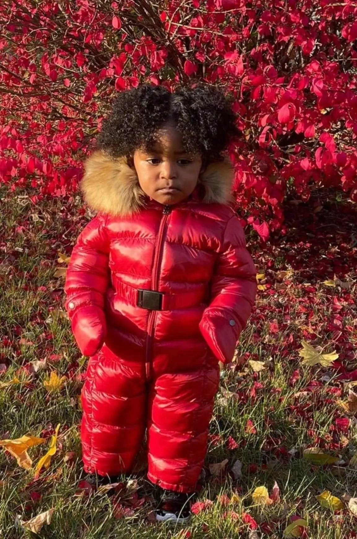 jordan Craig Newborn Astoria Snowsuit (Red) - BLVD