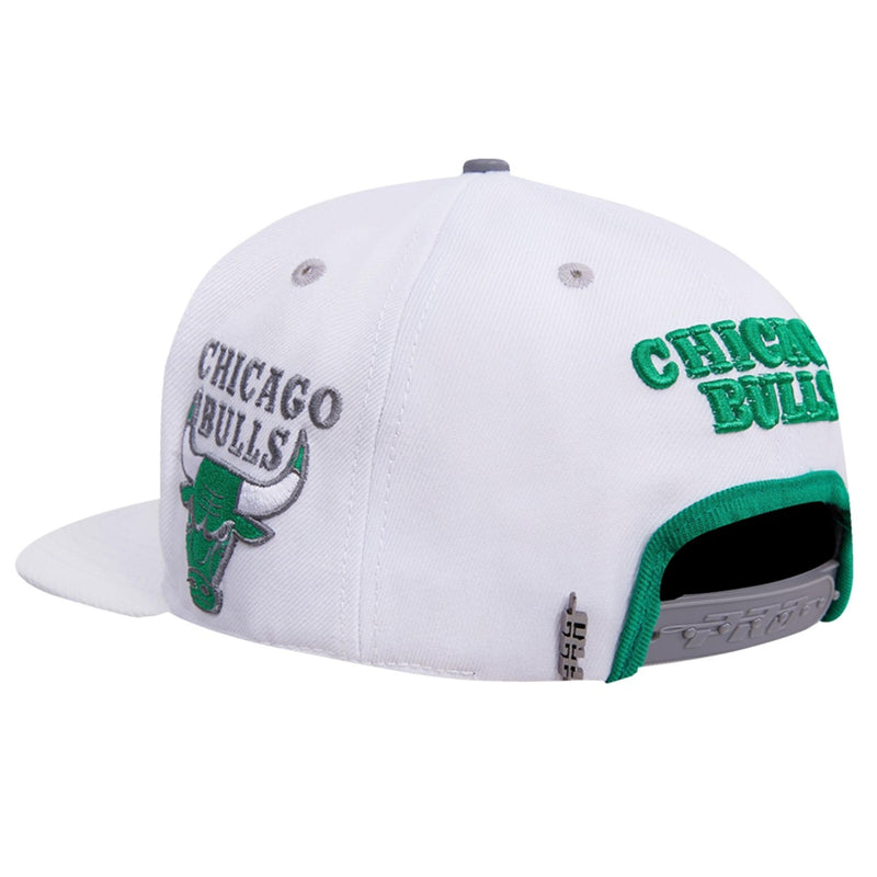 Pro Standard - Chicago Bulls 2 Tone Leather Brim Snapback Hat - White / Green