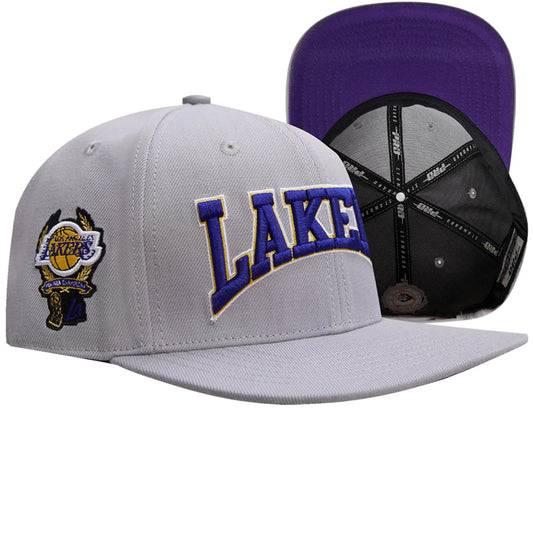 Pro Standard - Los Angeles Lakers Crest Emblem Snapback Hat - Gray / Purple - BLVD