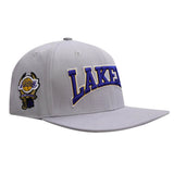 Pro Standard - Los Angeles Lakers Crest Emblem Snapback Hat - Gray / Purple - BLVD