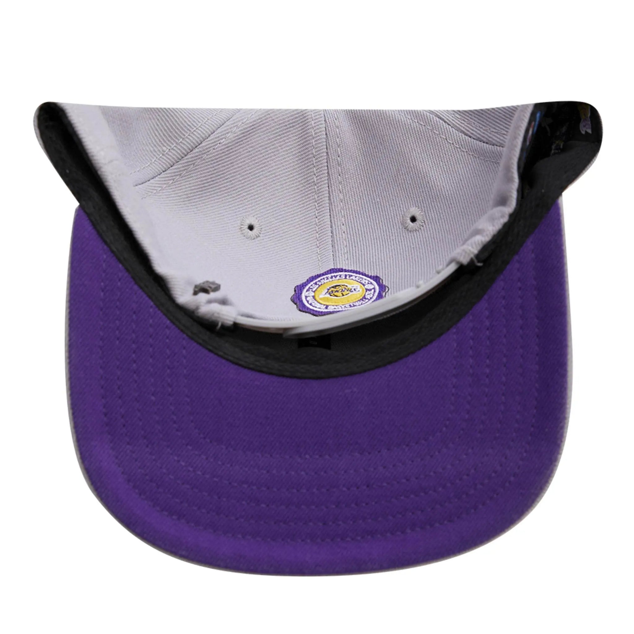 Pro Standard - Los Angeles Lakers Crest Emblem Snapback Hat - Gray / Purple - BLVD
