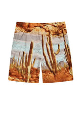 Jordan Craig - Retro - Ibiza Lounge Nylon Shorts - South West - BLVD