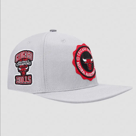 Pro Standard - Chicago Bulls Crest Emblem Wool Snapback Hat - Gray - BLVD