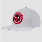 Pro Standard - Chicago Bulls Crest Emblem Wool Snapback Hat - Gray - BLVD