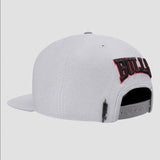 Pro Standard - Chicago Bulls Crest Emblem Wool Snapback Hat - Gray - BLVD
